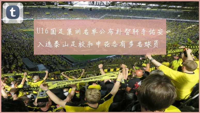 U16国足集训名单公布朴智轩李佑安入选泰山足校和申花各有多名球员参与