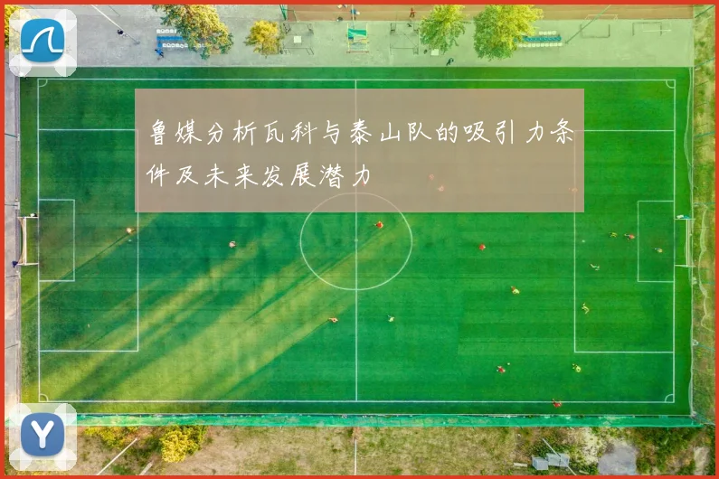 鲁媒分析瓦科与泰山队的吸引力条件及未来发展潜力